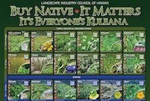 LICH native plant poster image